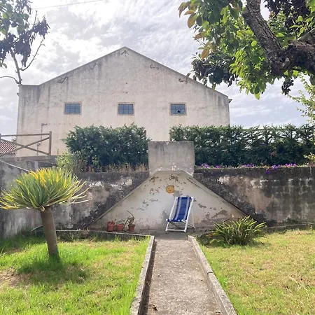 The Painters House * Marmeleira