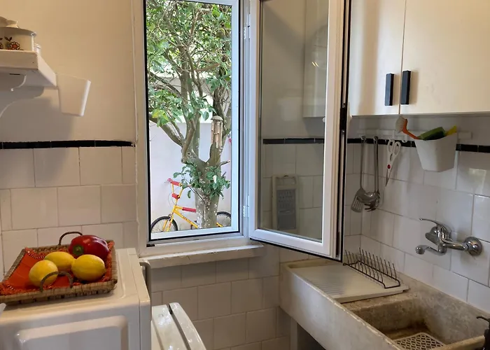 The Painters House *