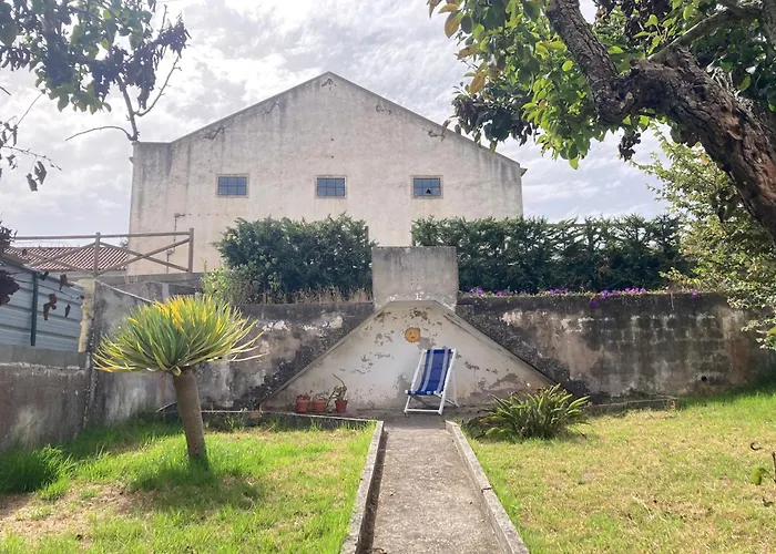 The Painters House * Marmeleira